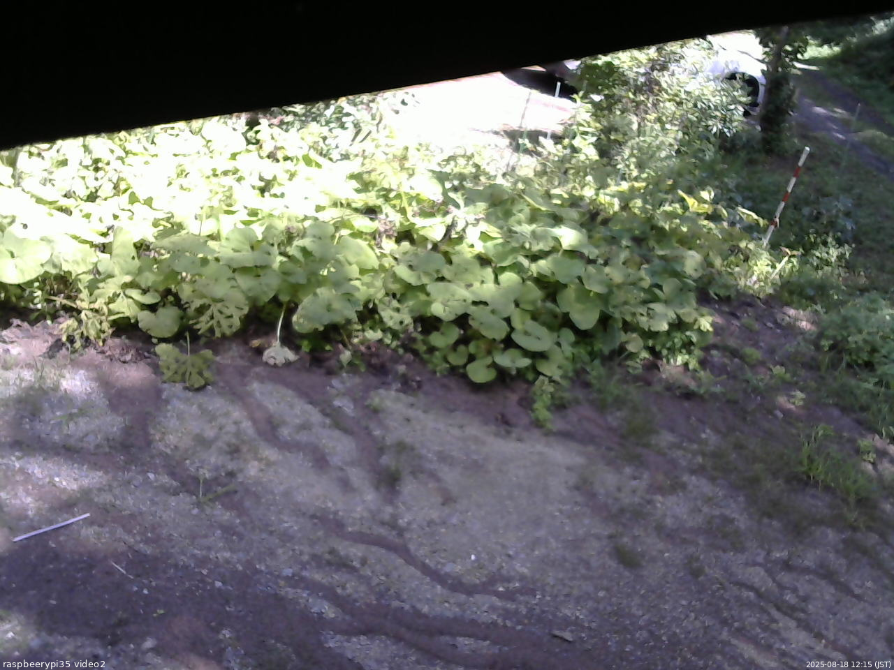 長野県菅平高原 ゆたか山荘 駐車場 2025/08/18 12:15
