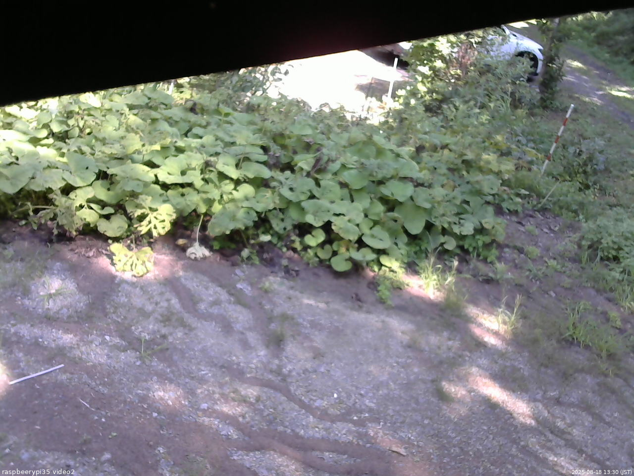 長野県菅平高原 ゆたか山荘 駐車場 2025/08/18 13:30