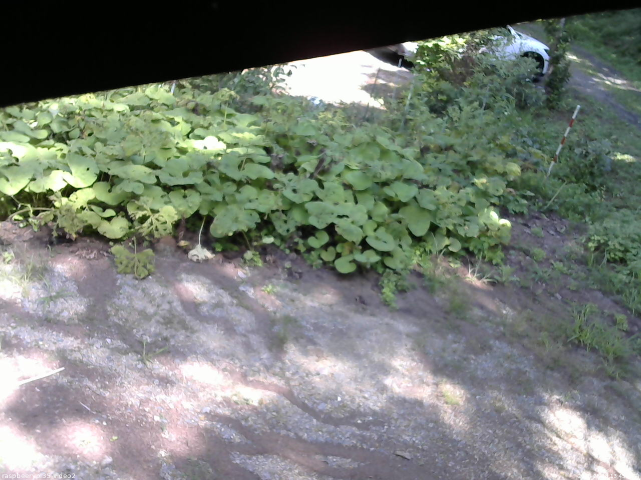 長野県菅平高原 ゆたか山荘 駐車場 2025/08/18 13:45