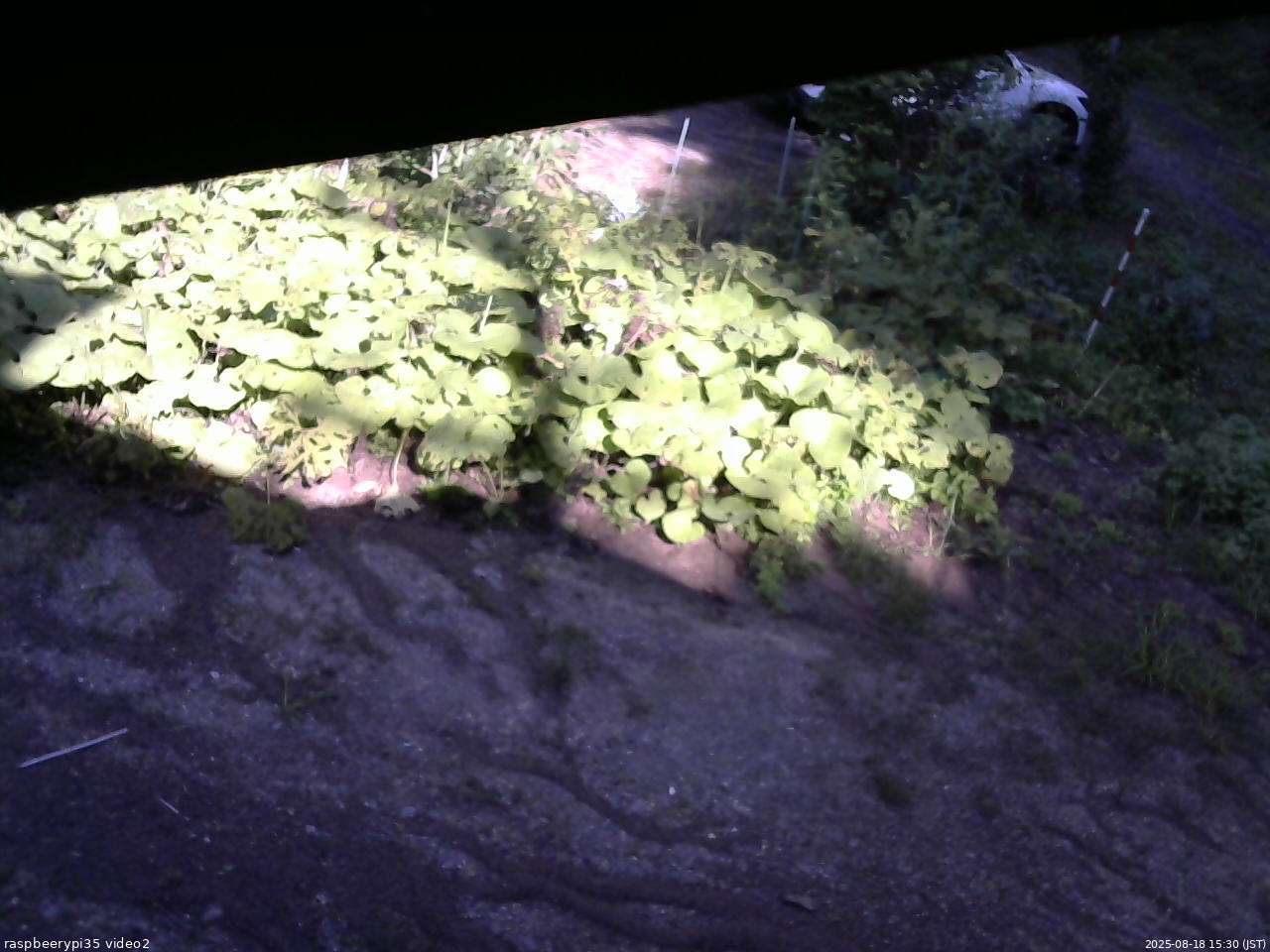 長野県菅平高原 ゆたか山荘 駐車場 2025/08/18 15:30