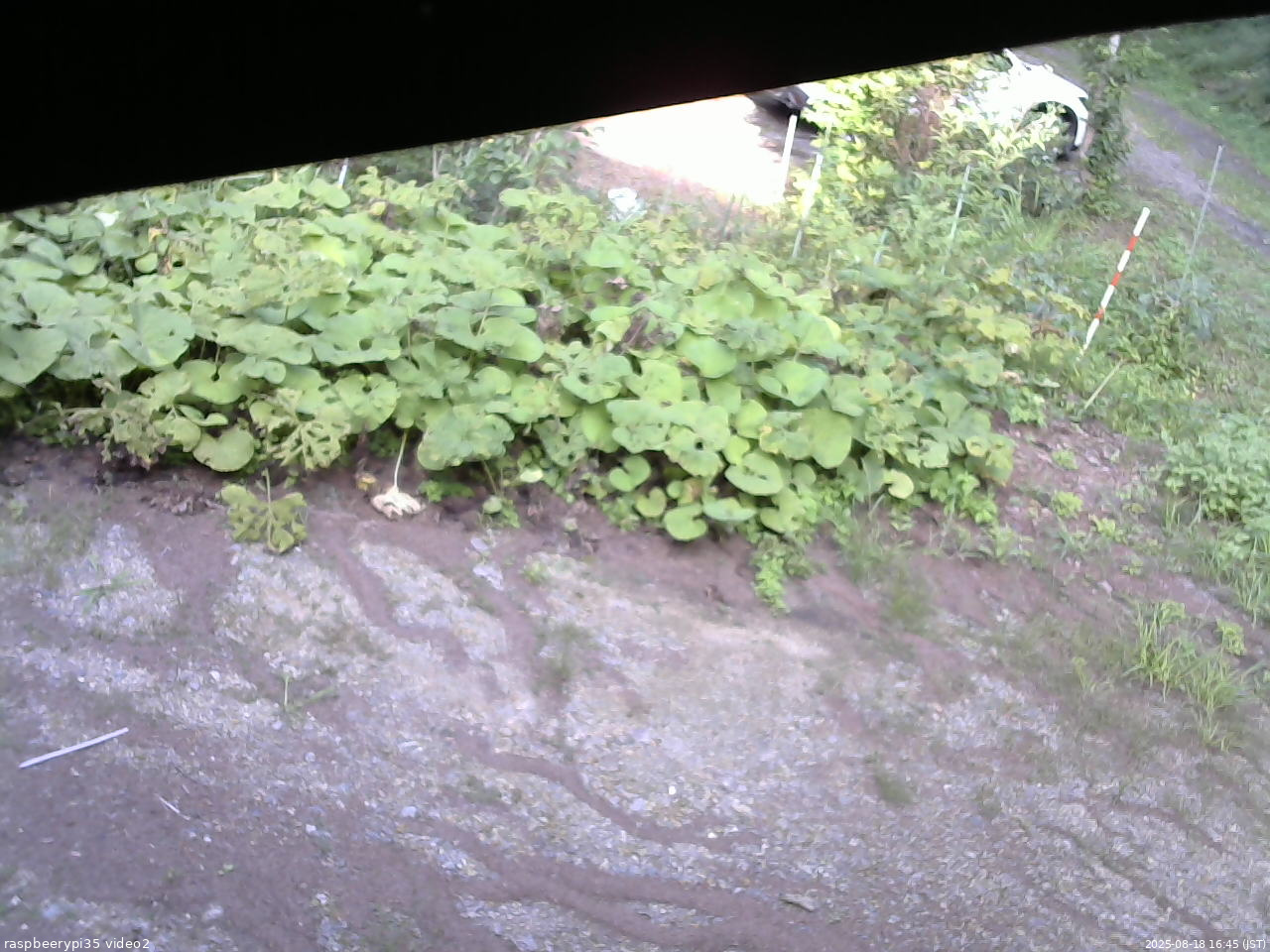 長野県菅平高原 ゆたか山荘 駐車場 2025/08/18 16:45