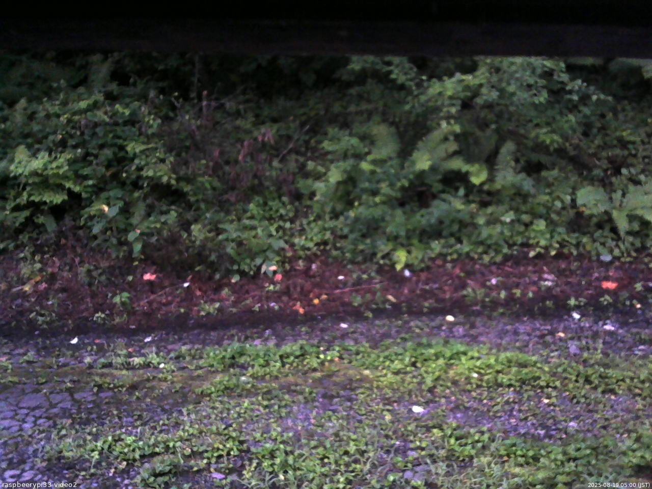 長野県菅平高原 ゆたか山荘 南側 2025/08/19 05:00