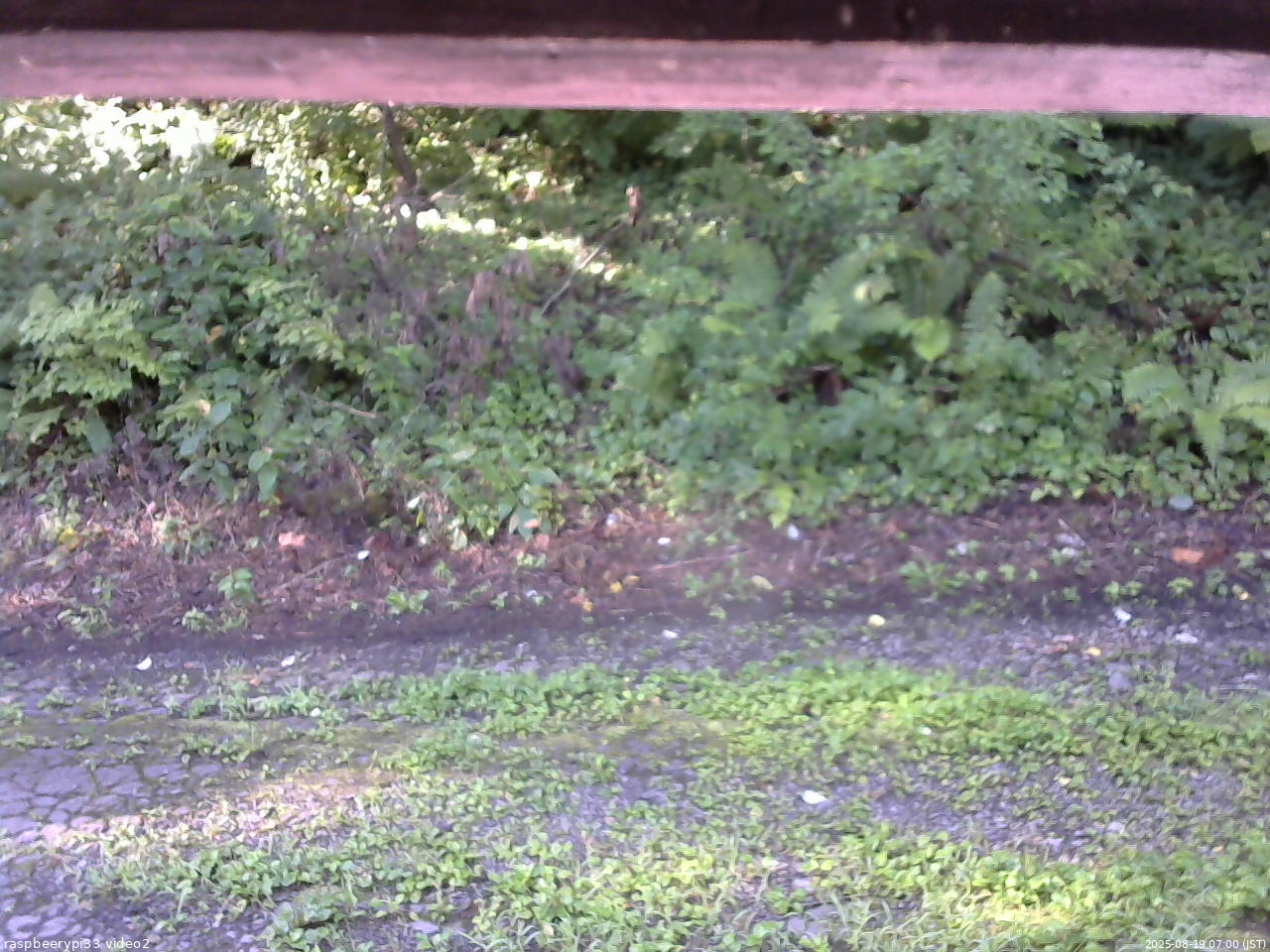 長野県菅平高原 ゆたか山荘 南側 2025/08/19 07:00