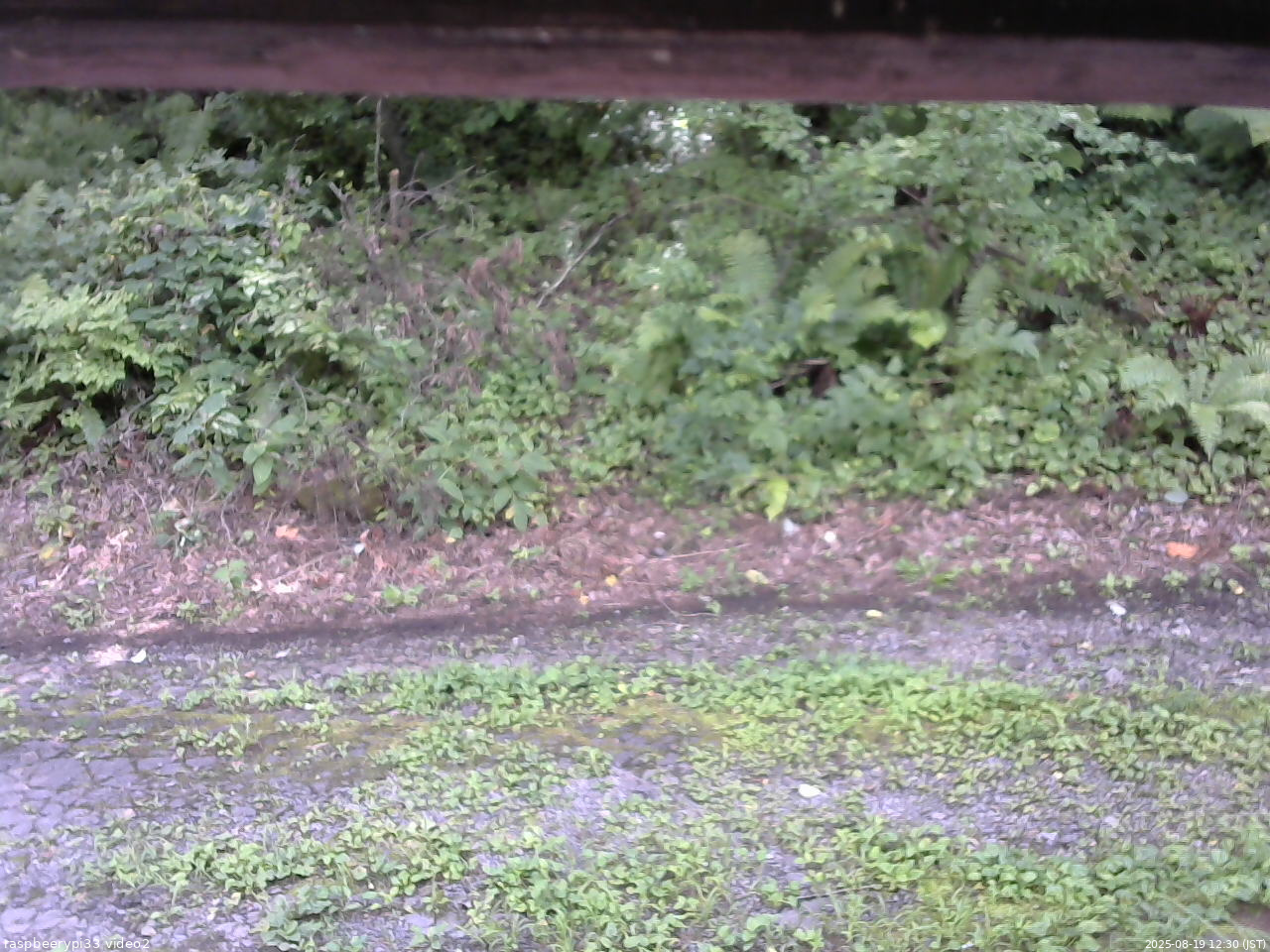 長野県菅平高原 ゆたか山荘 南側 2025/08/19 12:30