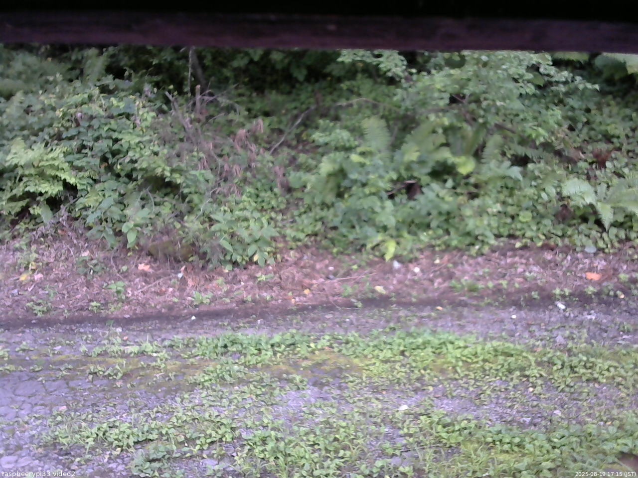 長野県菅平高原 ゆたか山荘 南側 2025/08/19 17:15