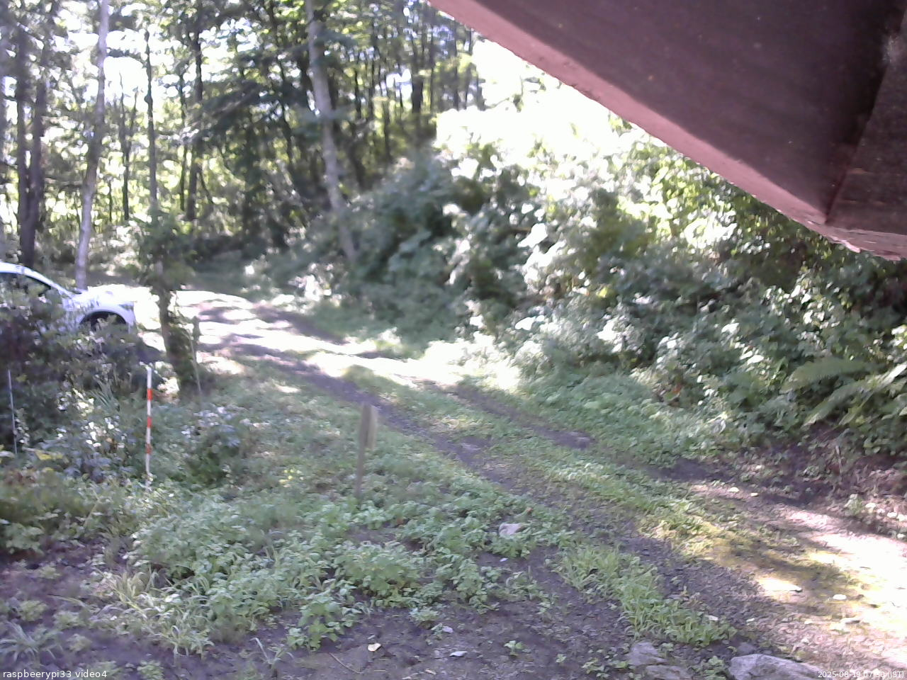 長野県菅平高原 ゆたか山荘 東側(坂下) 2025/08/19 07:30