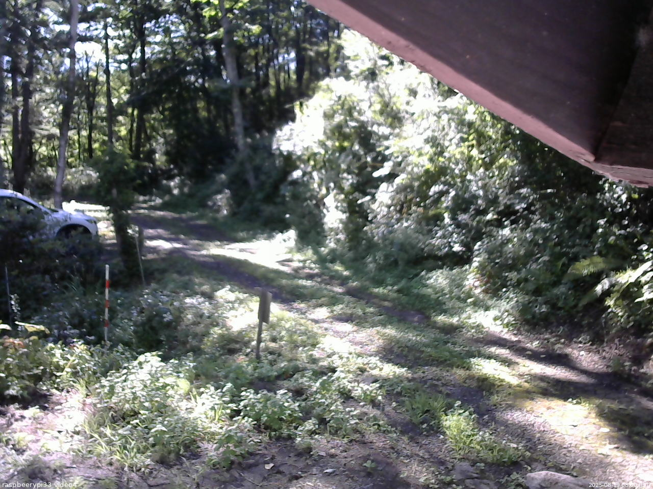 長野県菅平高原 ゆたか山荘 東側(坂下) 2025/08/19 08:00
