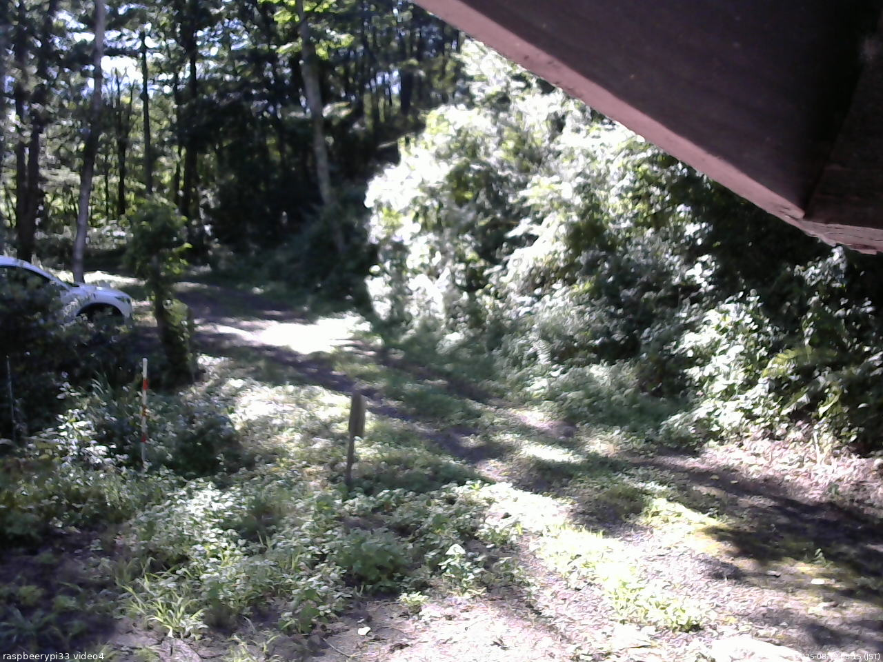 長野県菅平高原 ゆたか山荘 東側(坂下) 2025/08/19 08:15