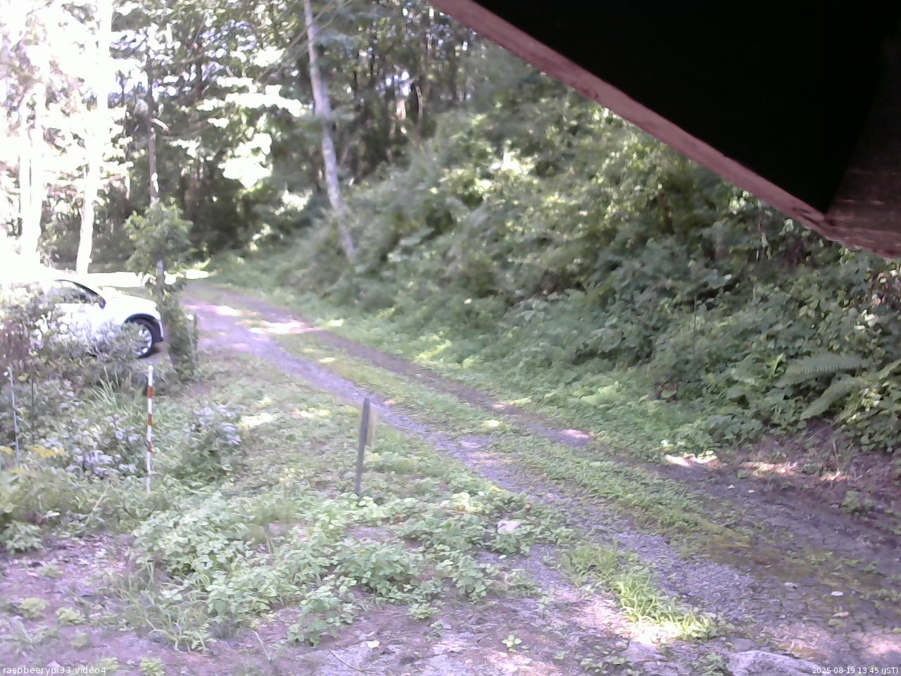 長野県菅平高原 ゆたか山荘 東側(坂下) 2025/08/19 13:45