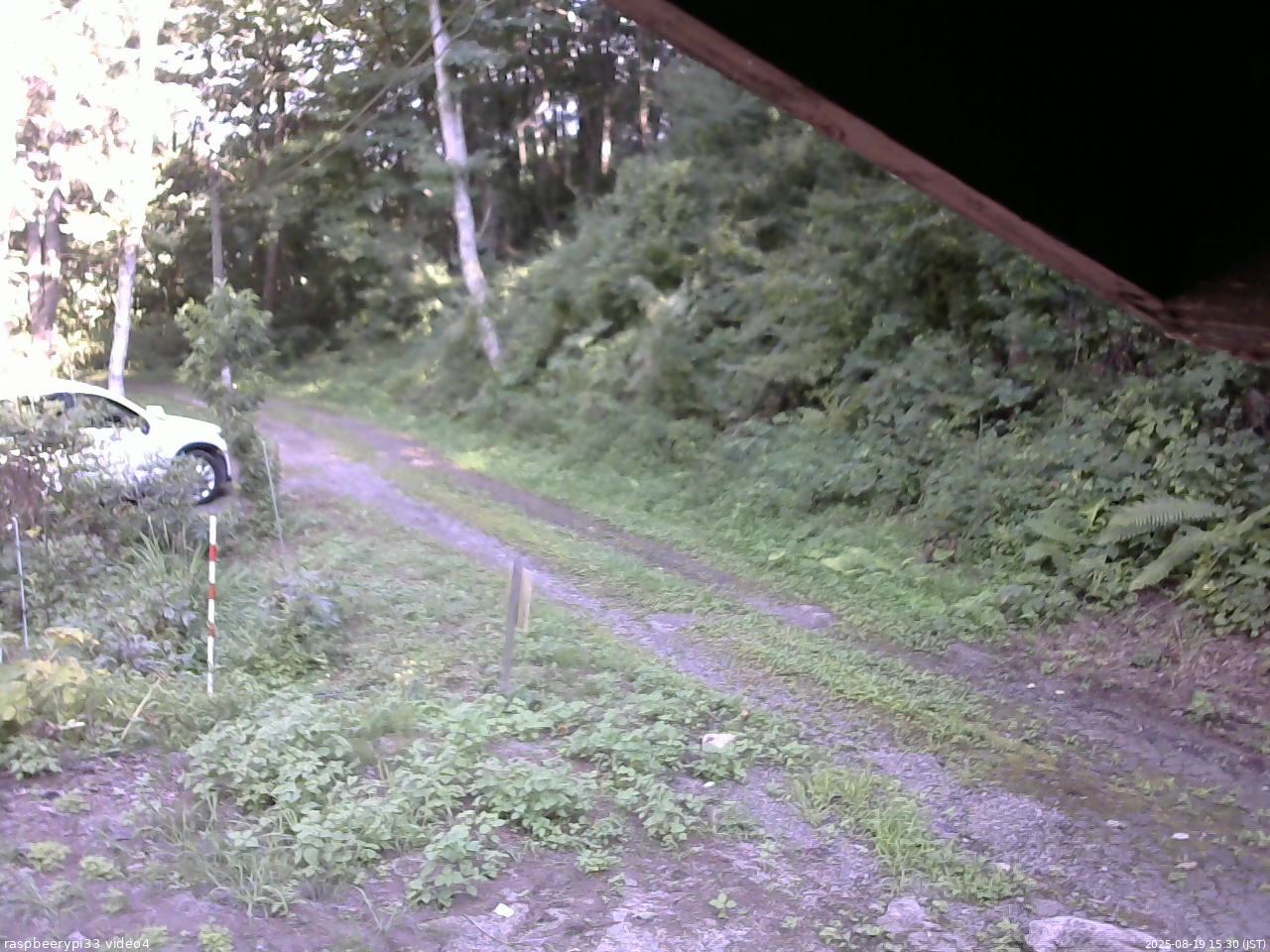 長野県菅平高原 ゆたか山荘 東側(坂下) 2025/08/19 15:30