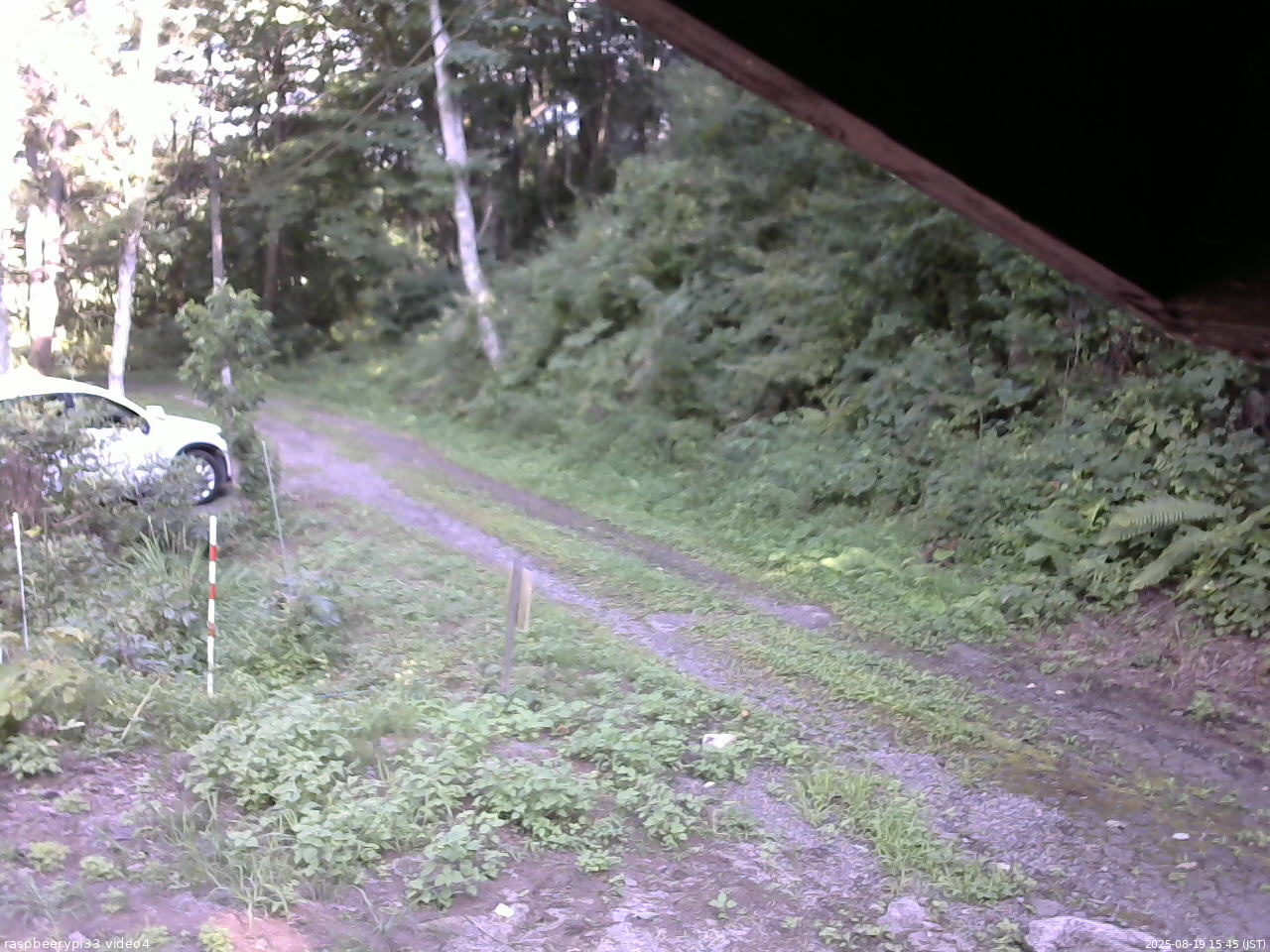 長野県菅平高原 ゆたか山荘 東側(坂下) 2025/08/19 15:45
