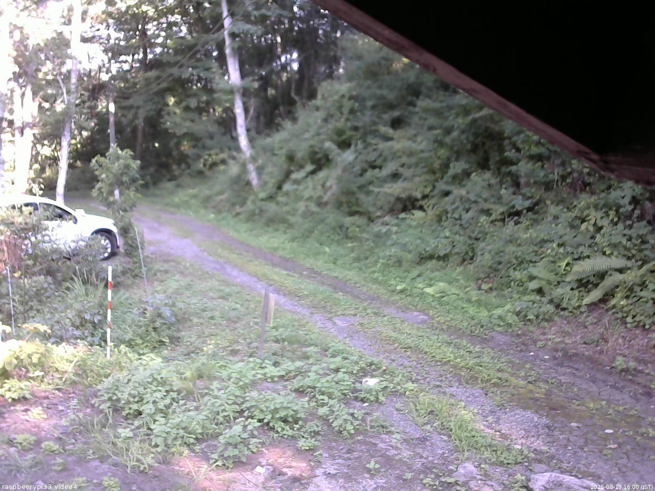 長野県菅平高原 ゆたか山荘 東側(坂下) 2025/08/19 16:00