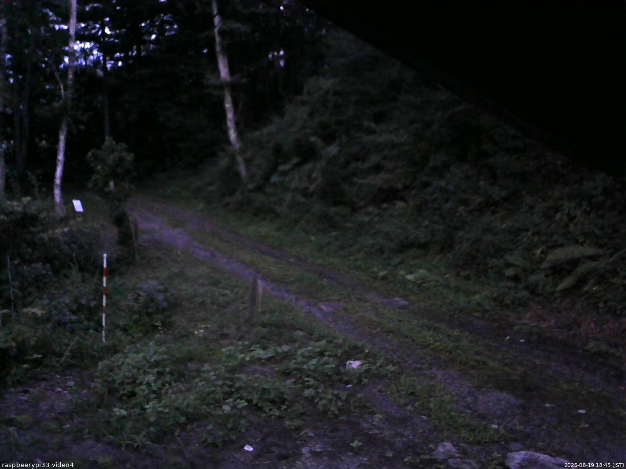 長野県菅平高原 ゆたか山荘 東側(坂下) 2025/08/19 18:45
