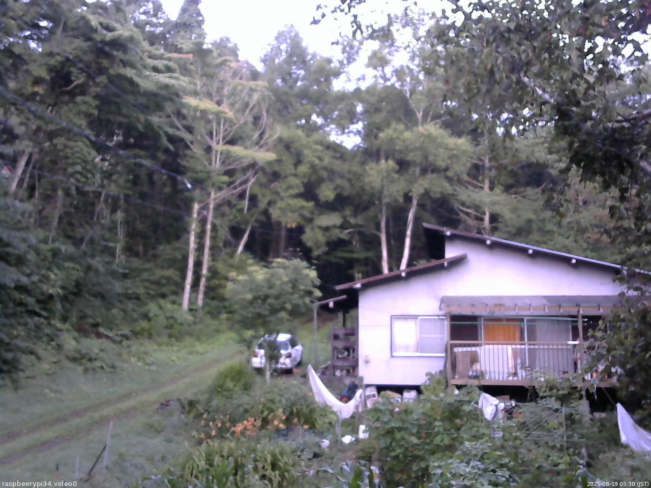 長野県菅平高原 ゆたか山荘 西側(坂上) 2025/08/19 05:30