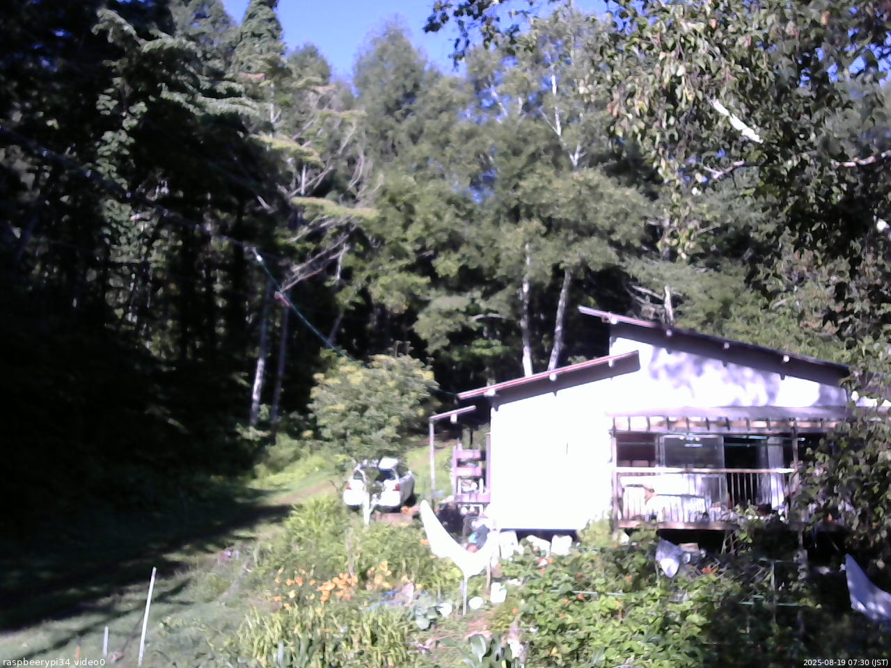 長野県菅平高原 ゆたか山荘 西側(坂上) 2025/08/19 07:30