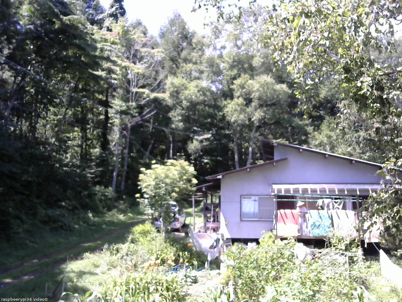 長野県菅平高原 ゆたか山荘 西側(坂上) 2025/08/19 11:15