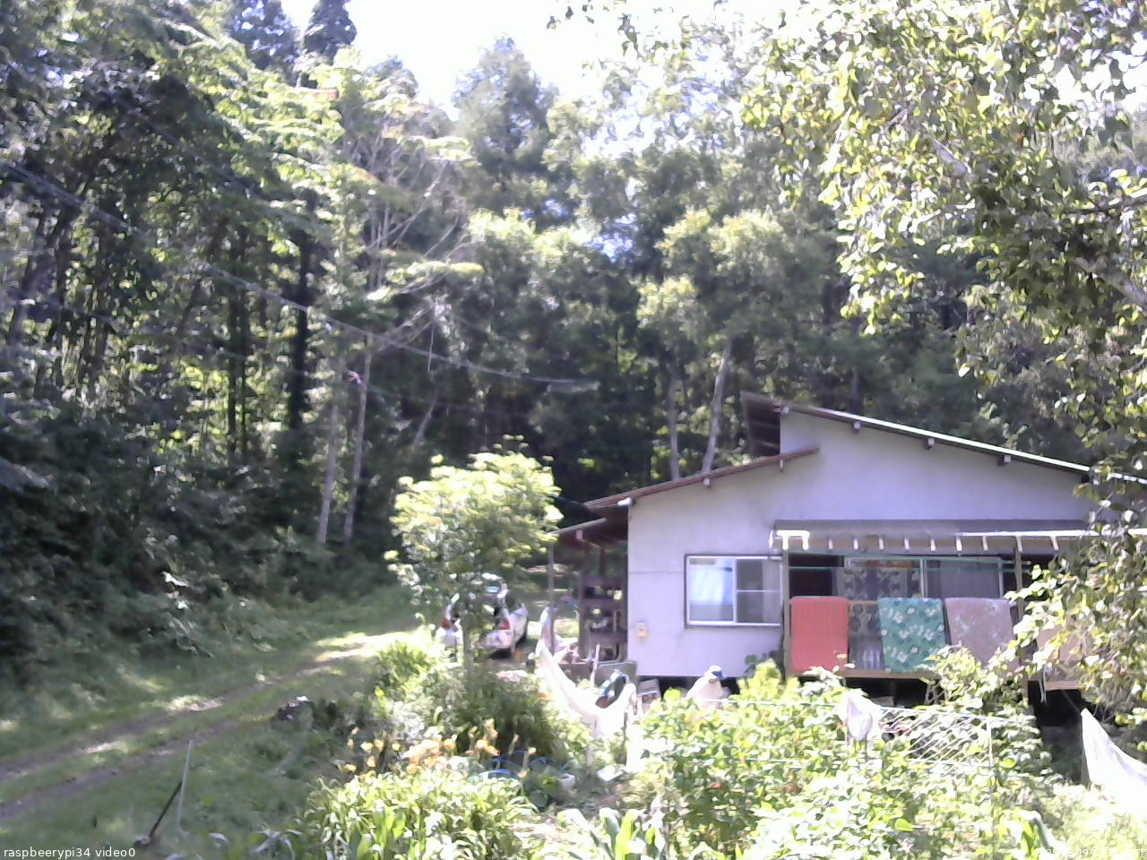 長野県菅平高原 ゆたか山荘 西側(坂上) 2025/08/19 13:15