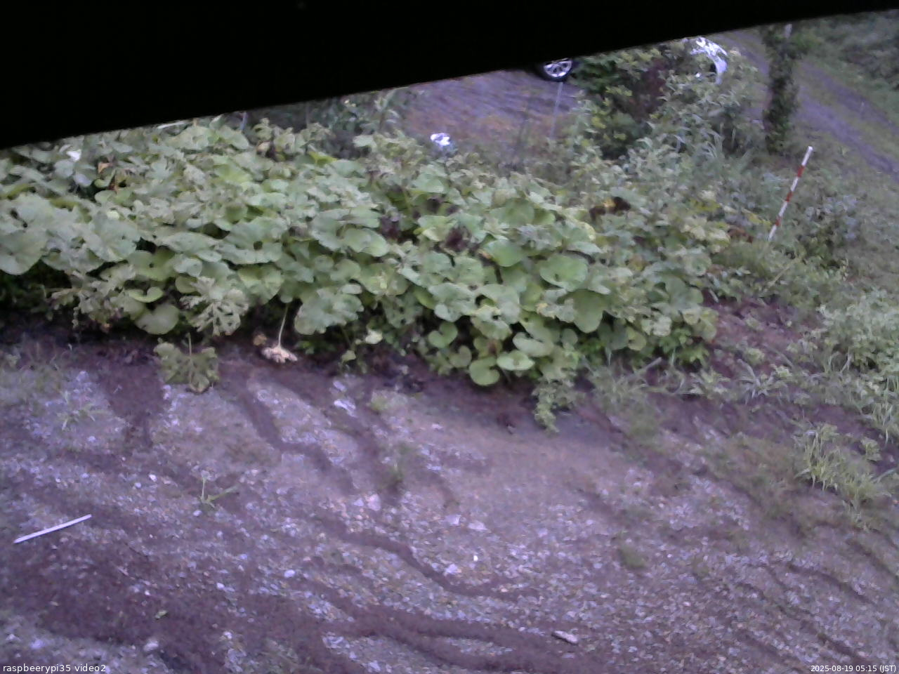 長野県菅平高原 ゆたか山荘 駐車場 2025/08/19 05:15