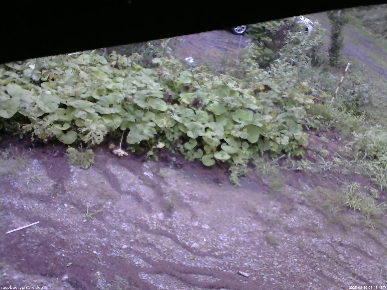 長野県菅平高原 ゆたか山荘 駐車場 2025/08/19 05:45