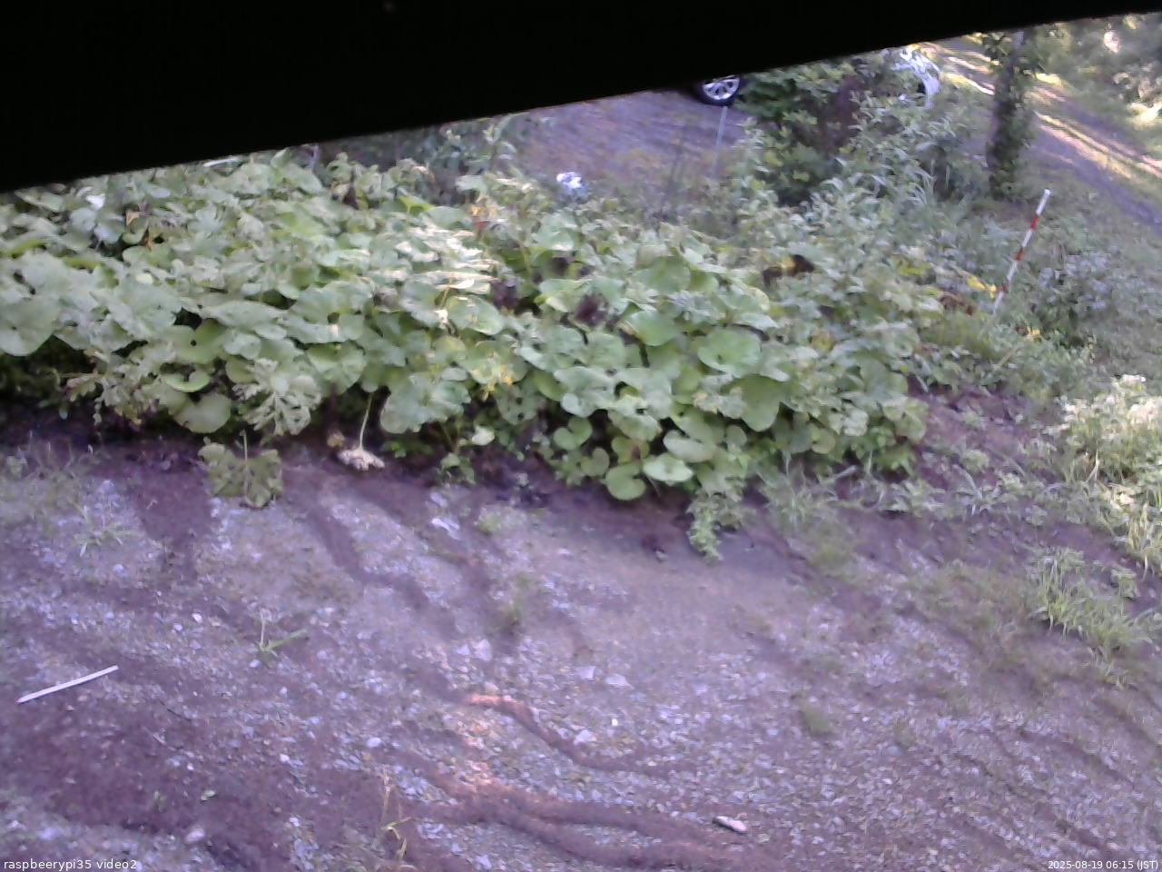 長野県菅平高原 ゆたか山荘 駐車場 2025/08/19 06:15