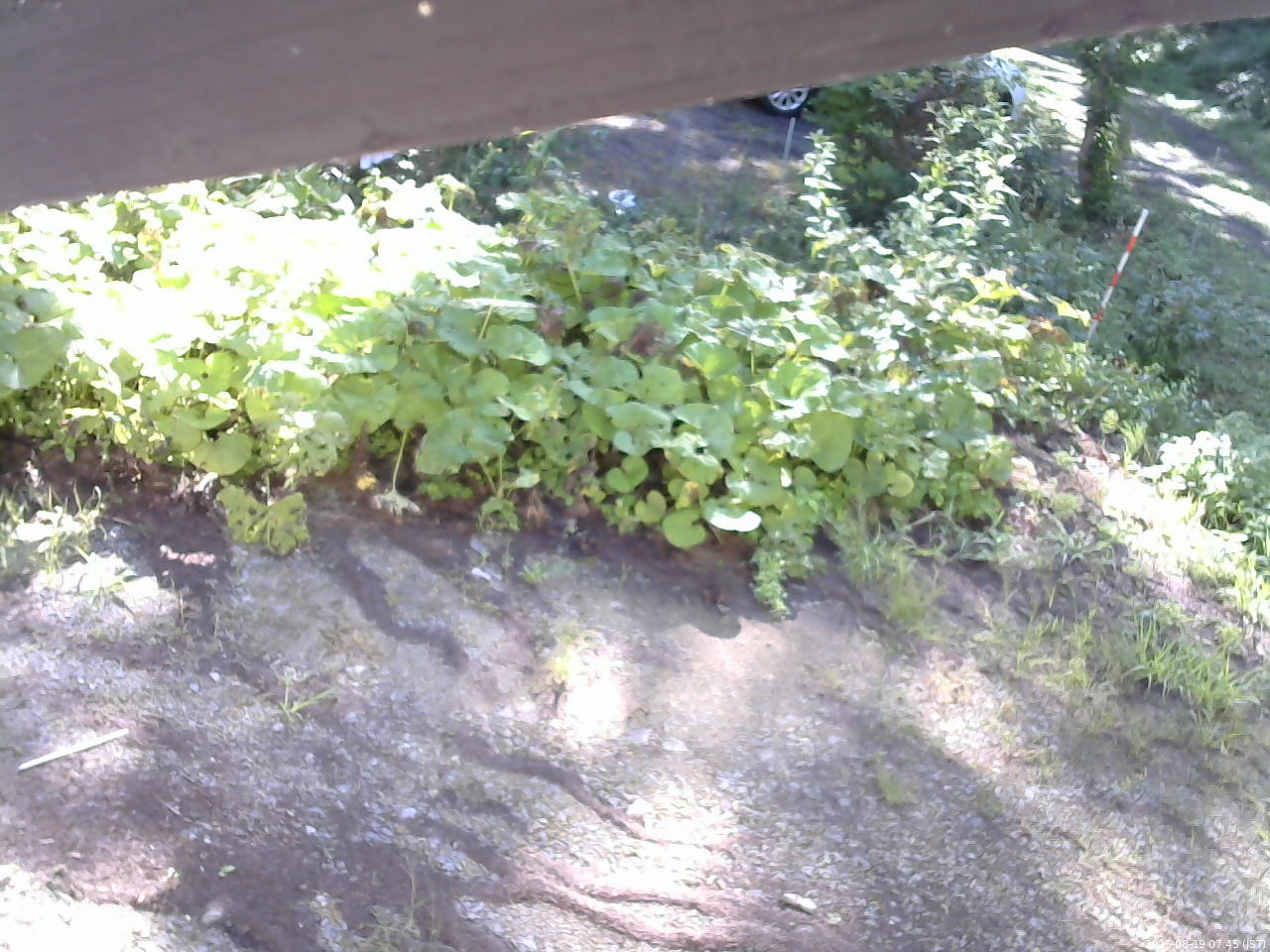 長野県菅平高原 ゆたか山荘 駐車場 2025/08/19 07:45