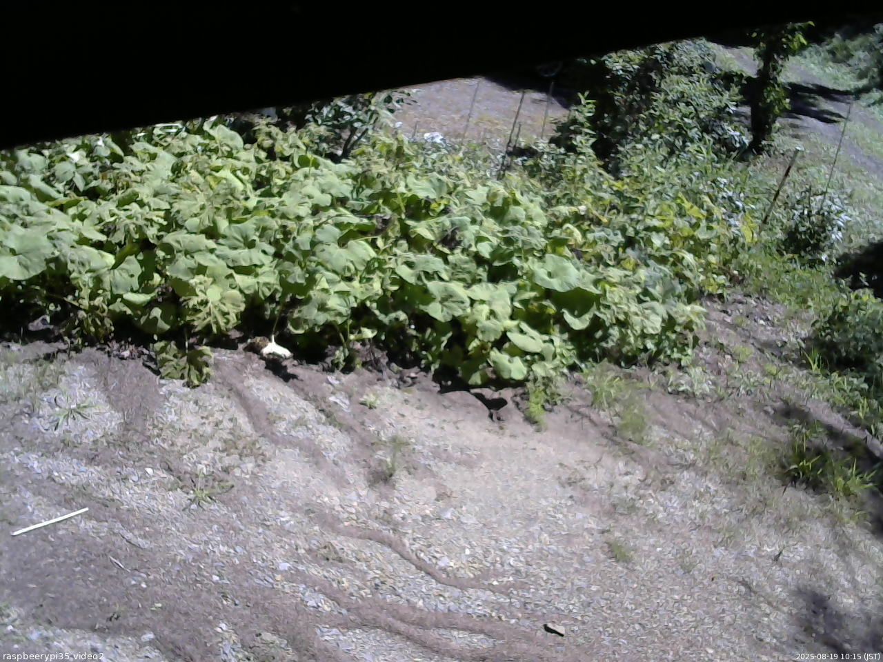 長野県菅平高原 ゆたか山荘 駐車場 2025/08/19 10:15