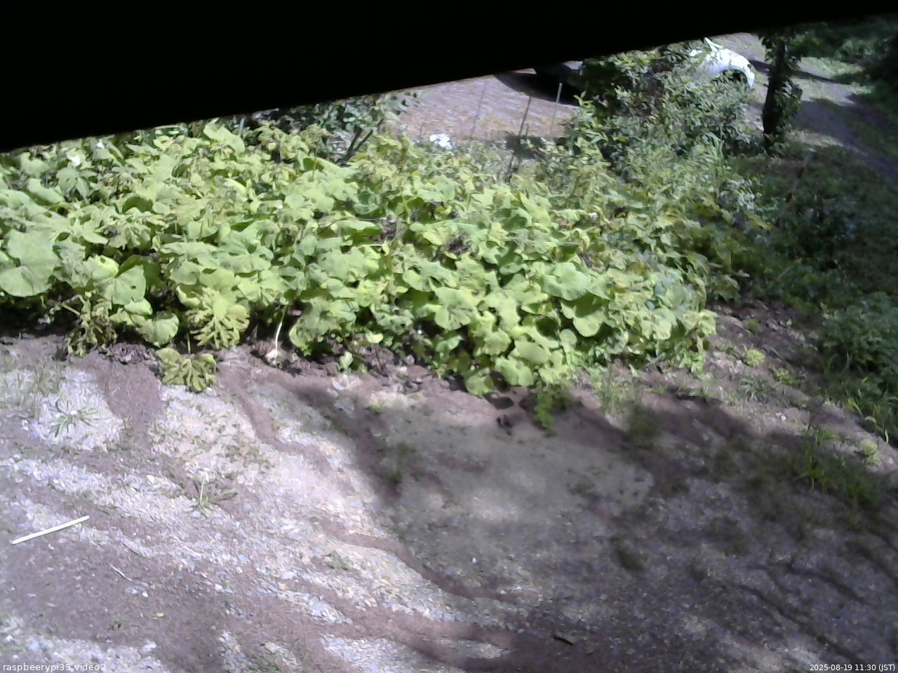 長野県菅平高原 ゆたか山荘 駐車場 2025/08/19 11:30