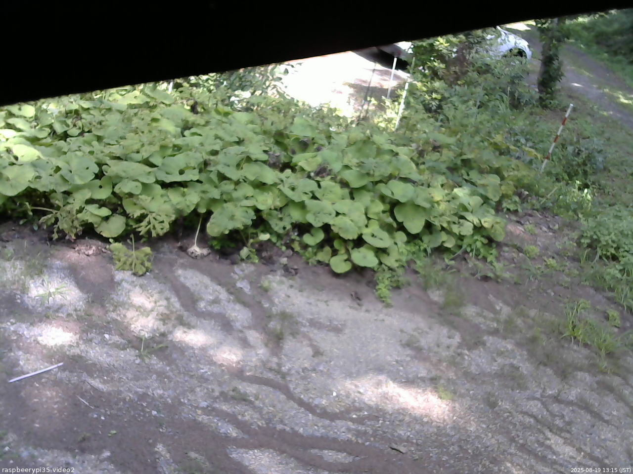 長野県菅平高原 ゆたか山荘 駐車場 2025/08/19 13:15