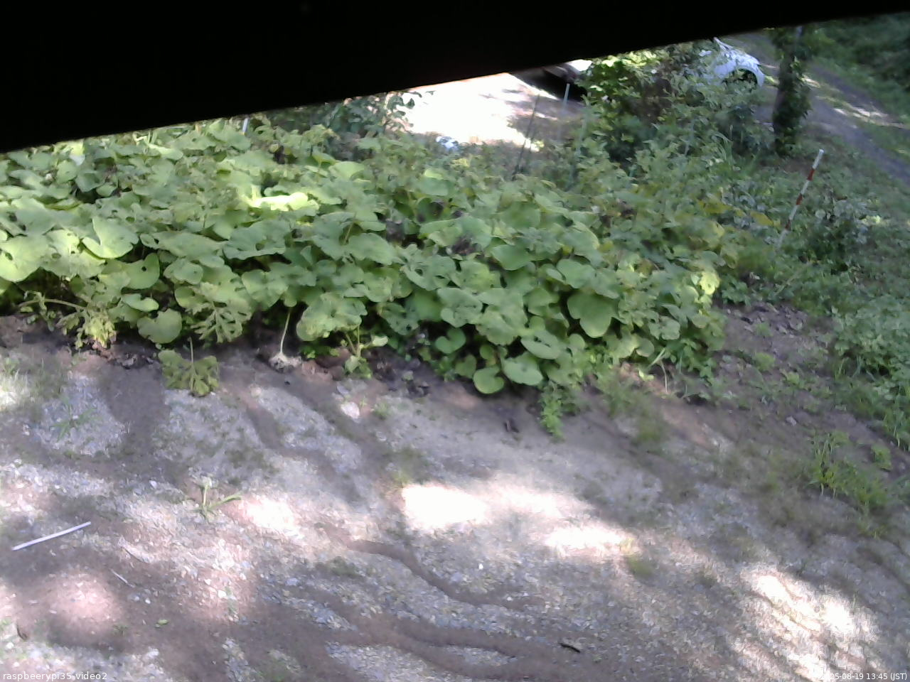 長野県菅平高原 ゆたか山荘 駐車場 2025/08/19 13:45