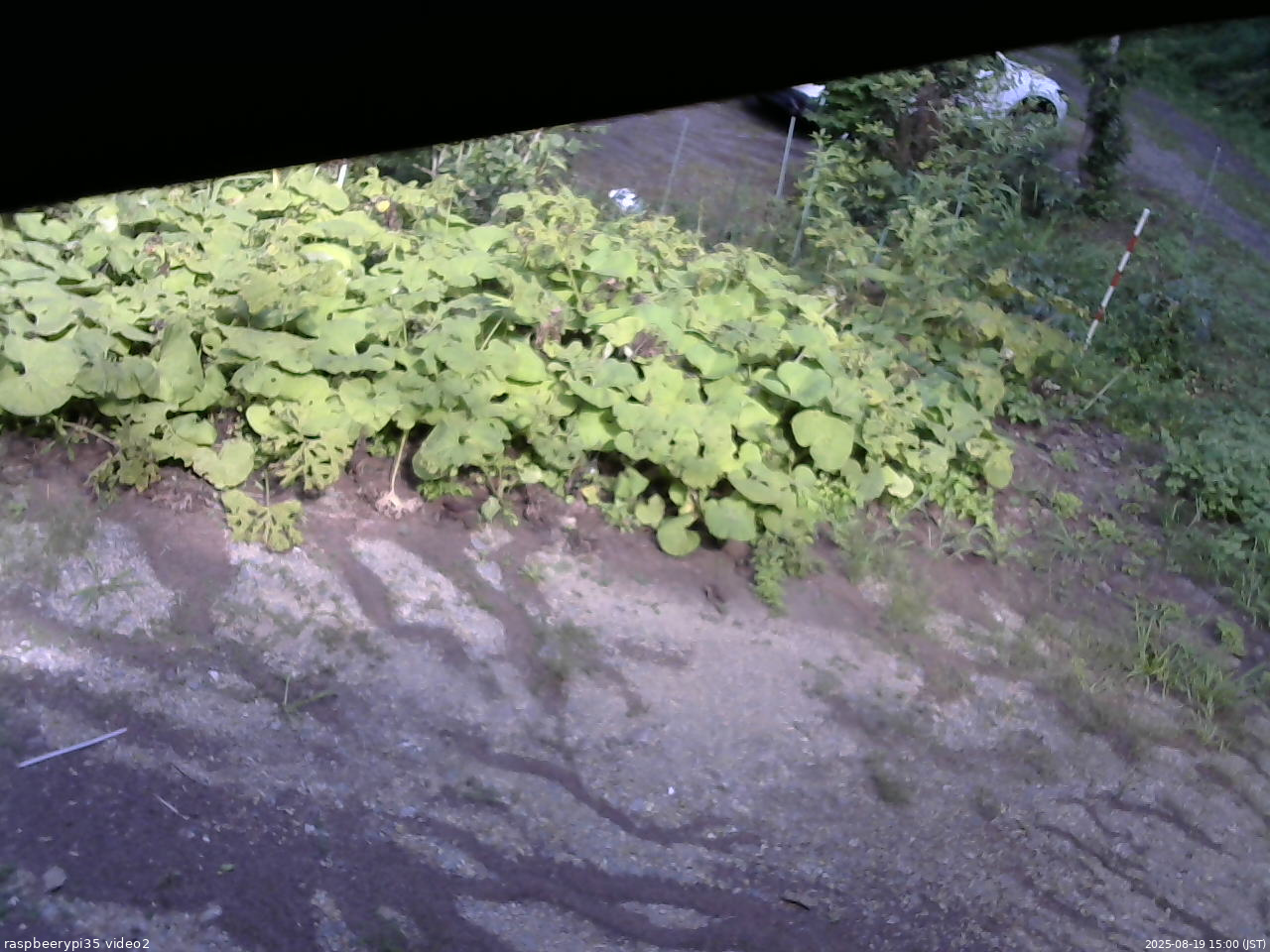長野県菅平高原 ゆたか山荘 駐車場 2025/08/19 15:00