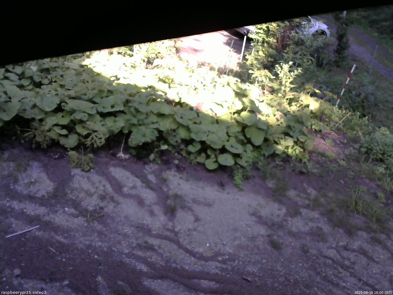 長野県菅平高原 ゆたか山荘 駐車場 2025/08/19 16:00