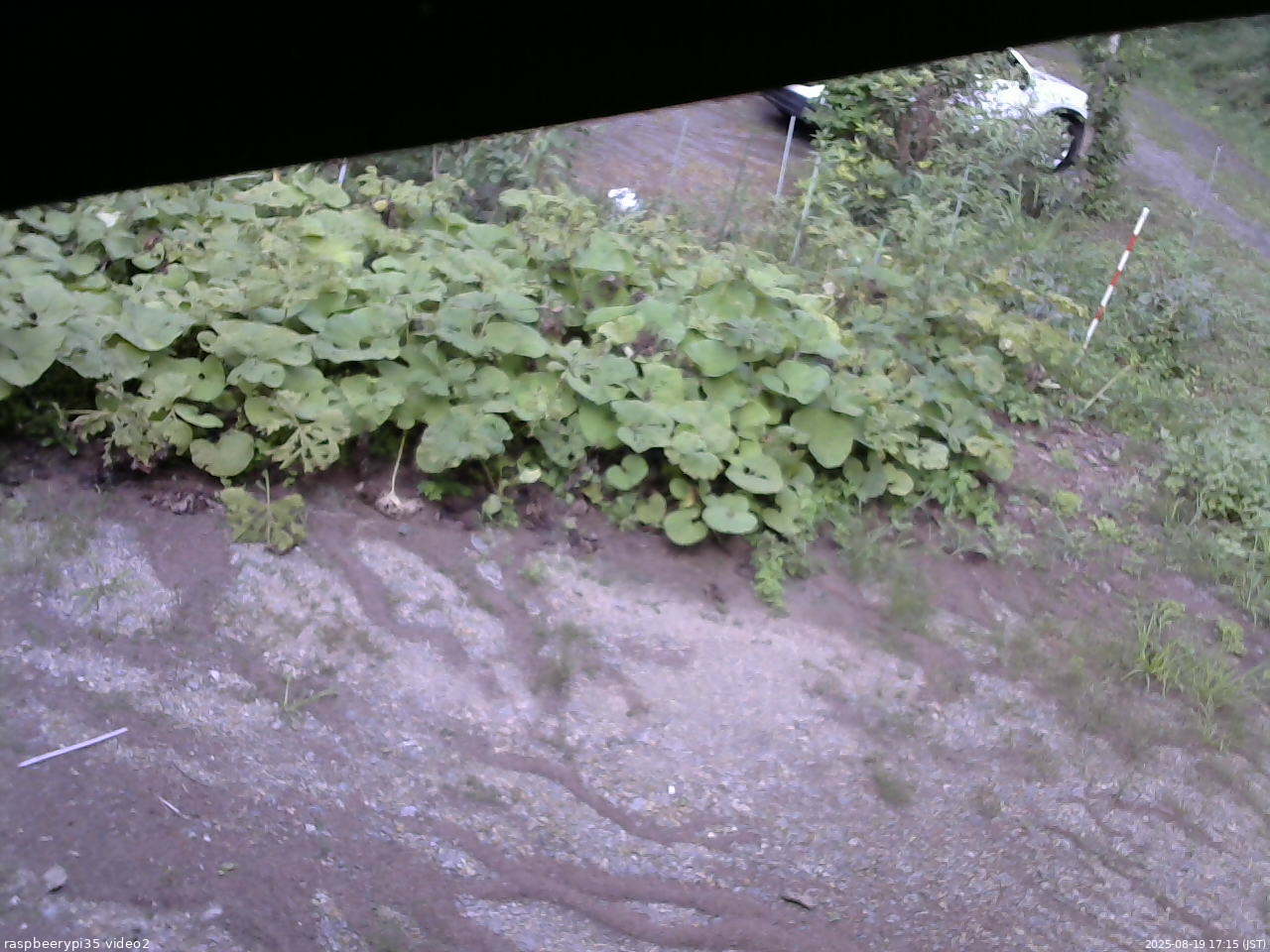 長野県菅平高原 ゆたか山荘 駐車場 2025/08/19 17:15