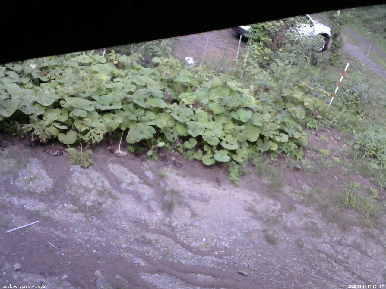 長野県菅平高原 ゆたか山荘 駐車場 2025/08/19 17:30