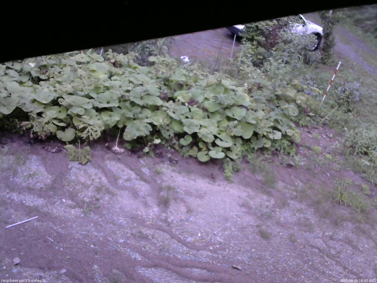 長野県菅平高原 ゆたか山荘 駐車場 2025/08/19 18:00