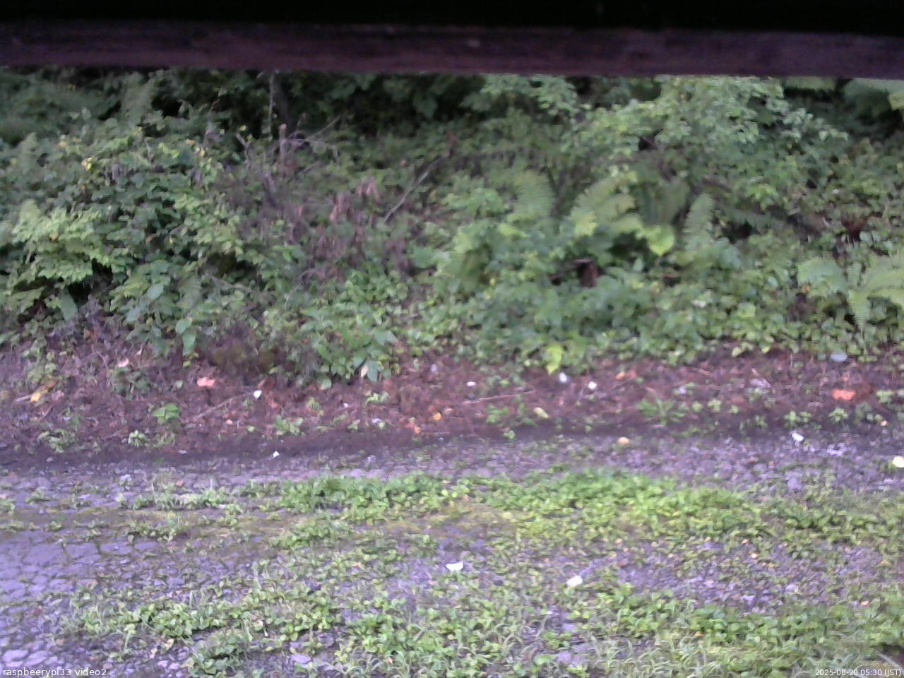 長野県菅平高原 ゆたか山荘 南側 2025/08/20 05:30