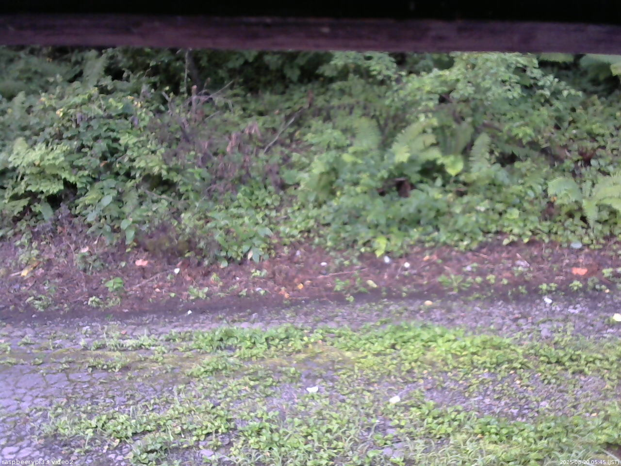 長野県菅平高原 ゆたか山荘 南側 2025/08/20 05:45