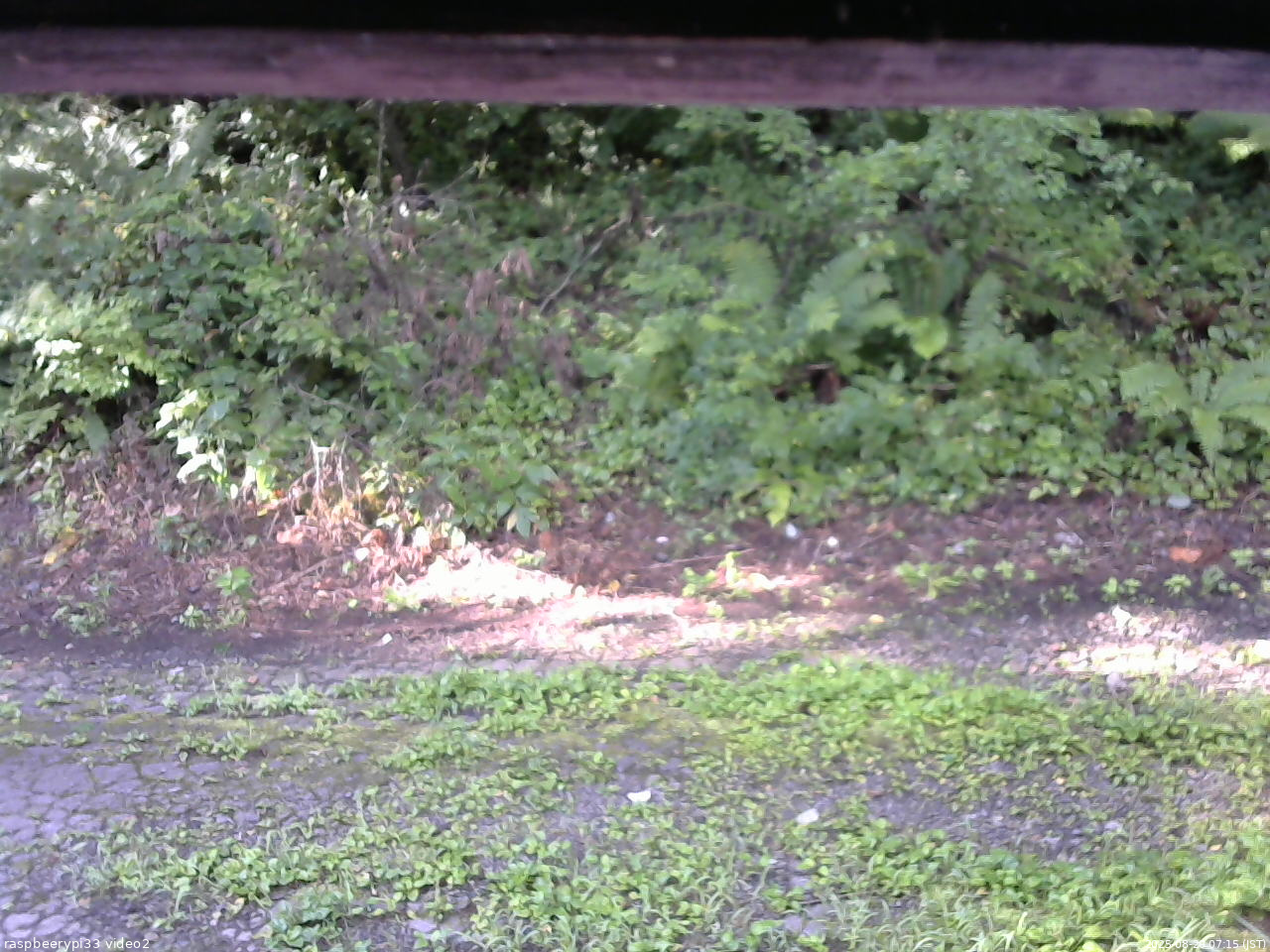 長野県菅平高原 ゆたか山荘 南側 2025/08/20 07:15