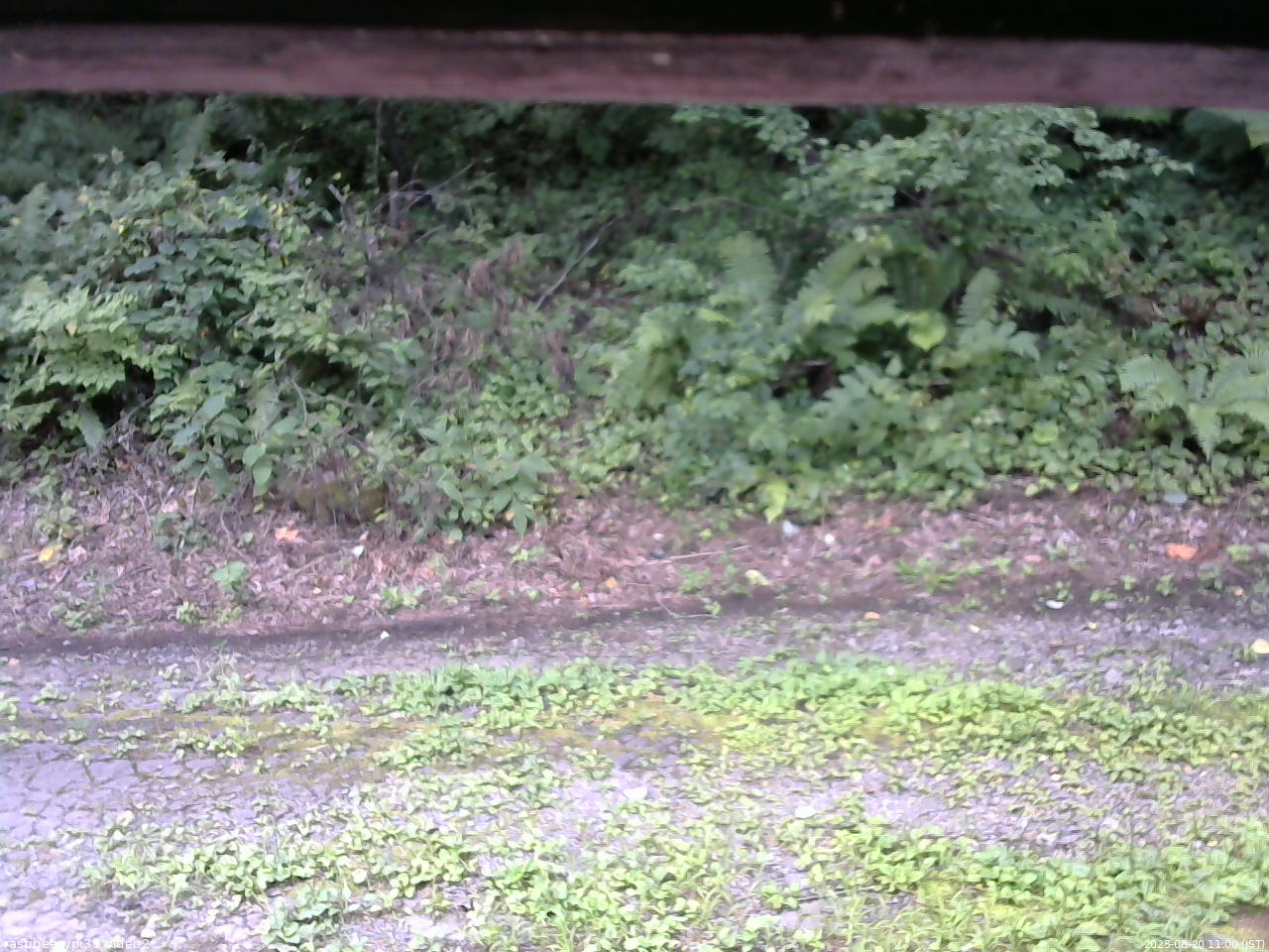 長野県菅平高原 ゆたか山荘 南側 2025/08/20 11:00