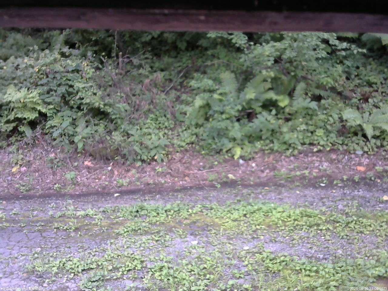 長野県菅平高原 ゆたか山荘 南側 2025/08/20 12:00