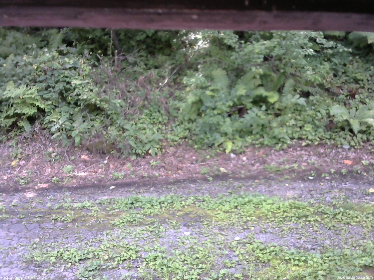 長野県菅平高原 ゆたか山荘 南側 2025/08/20 12:30