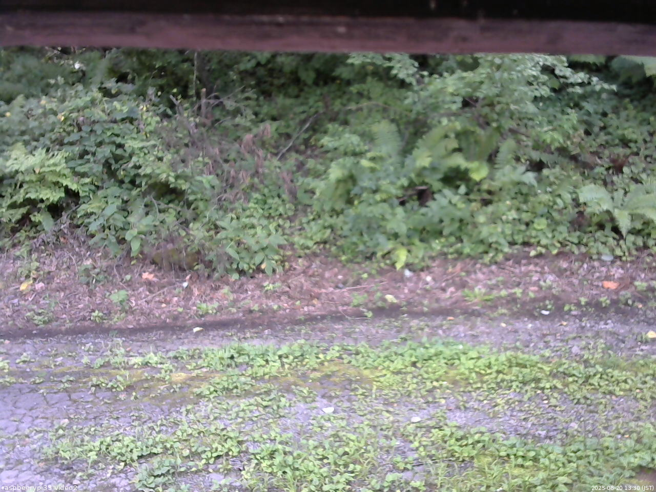 長野県菅平高原 ゆたか山荘 南側 2025/08/20 13:30