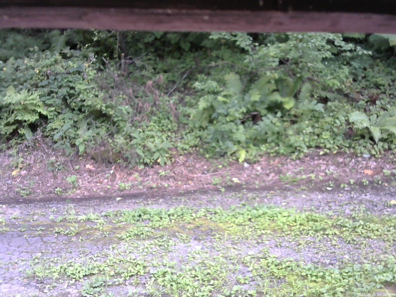 長野県菅平高原 ゆたか山荘 南側 2025/08/20 14:15