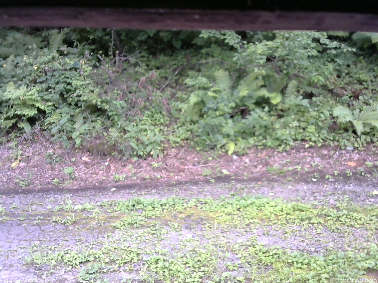 長野県菅平高原 ゆたか山荘 南側 2025/08/20 15:30