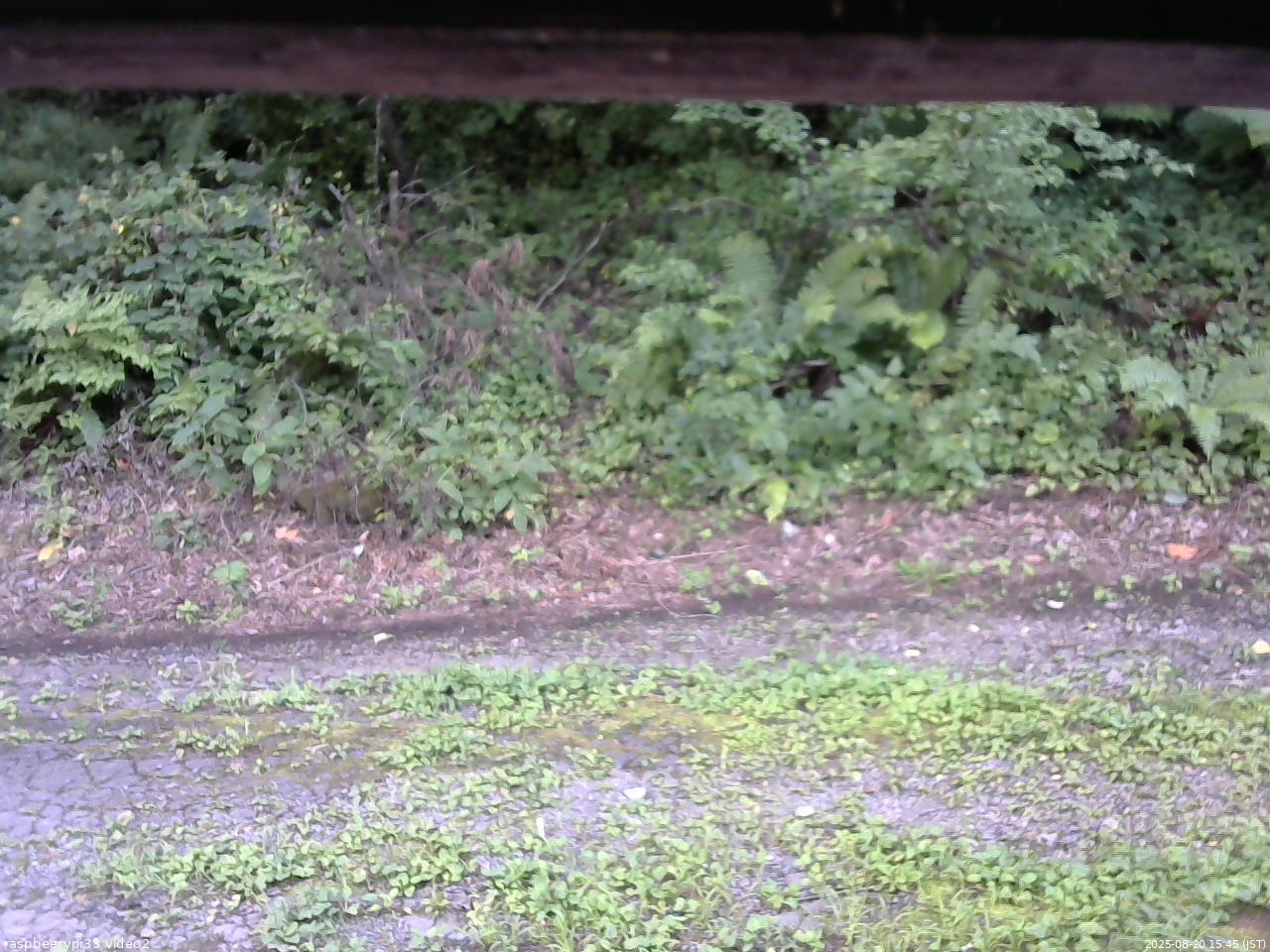 長野県菅平高原 ゆたか山荘 南側 2025/08/20 15:45