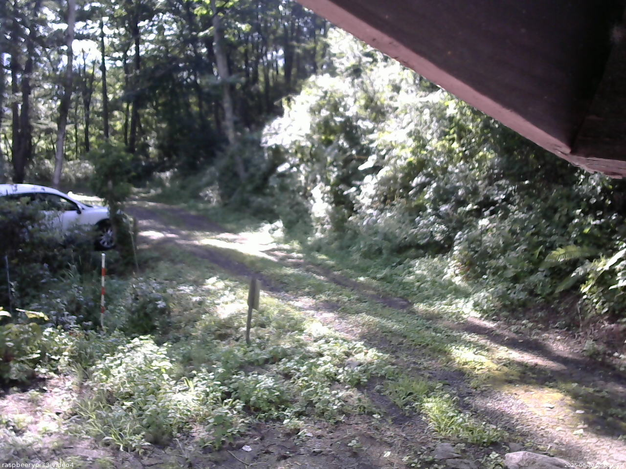 長野県菅平高原 ゆたか山荘 東側(坂下) 2025/08/20 08:00