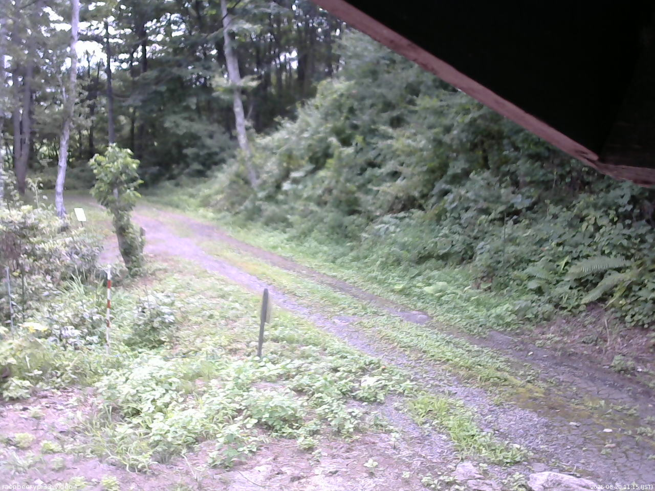 長野県菅平高原 ゆたか山荘 東側(坂下) 2025/08/20 11:15