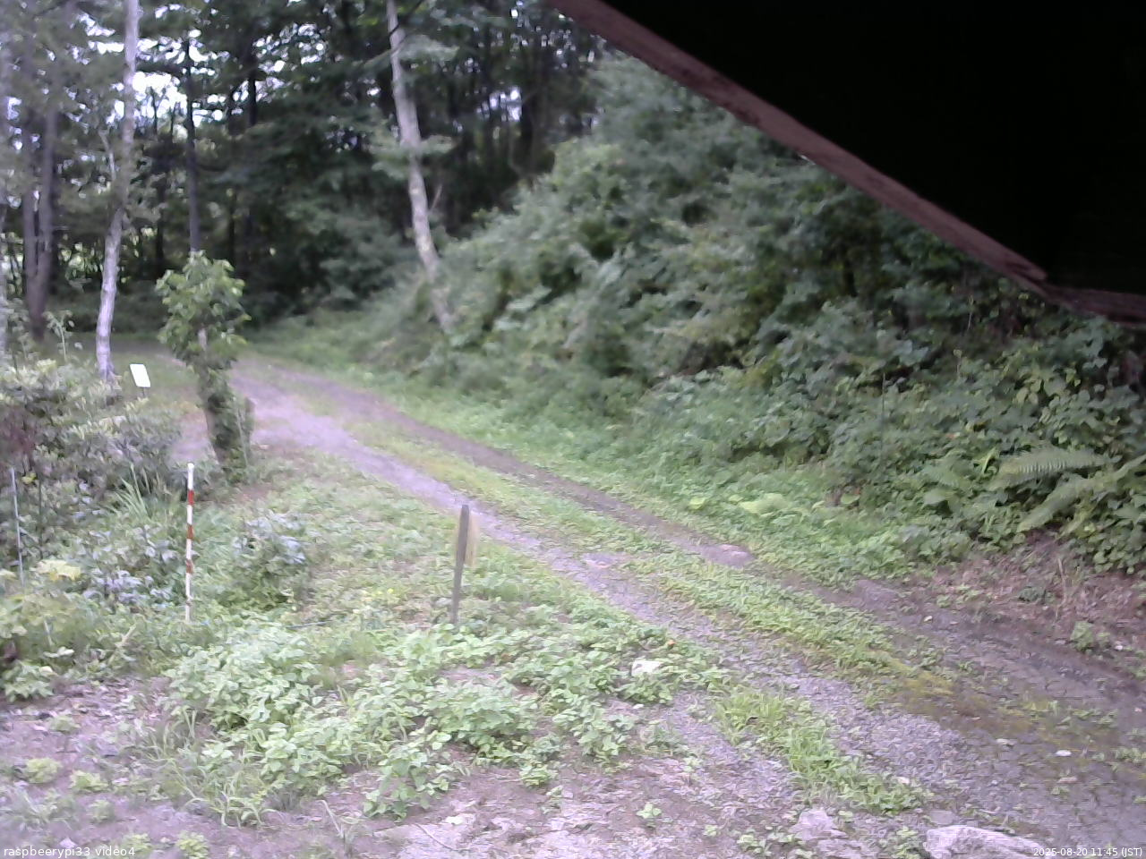 長野県菅平高原 ゆたか山荘 東側(坂下) 2025/08/20 11:45