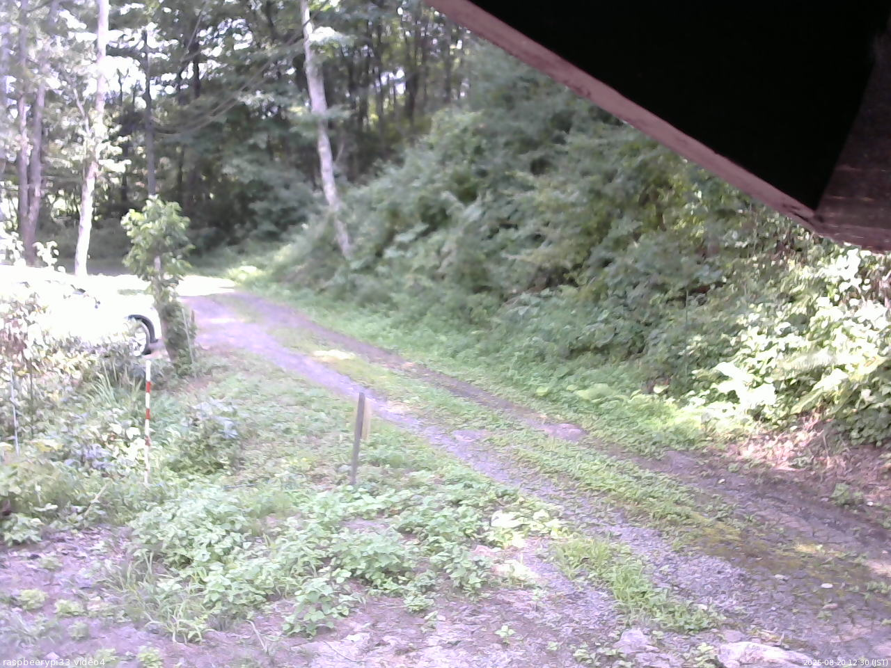 長野県菅平高原 ゆたか山荘 東側(坂下) 2025/08/20 12:30