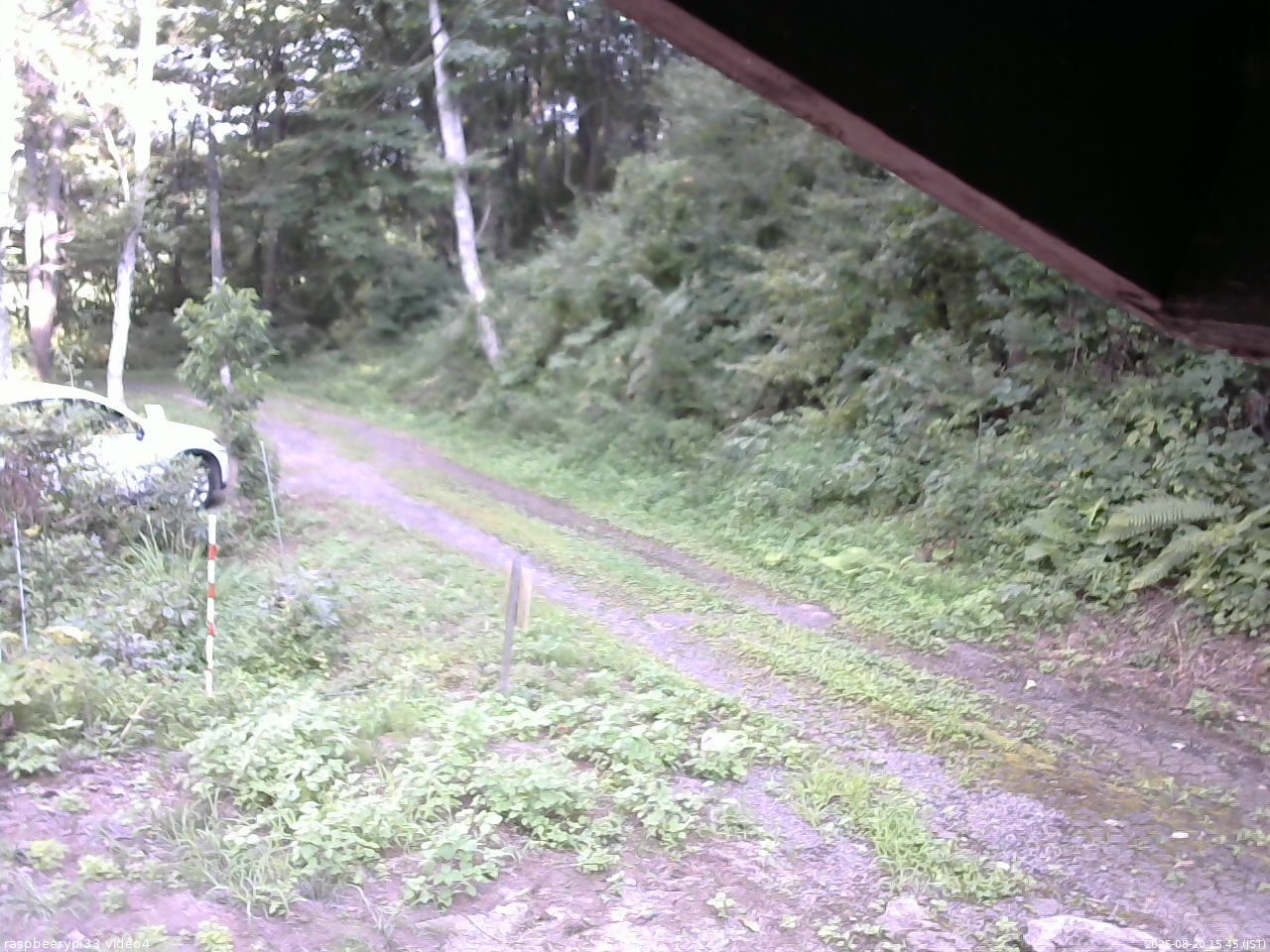 長野県菅平高原 ゆたか山荘 東側(坂下) 2025/08/20 15:45