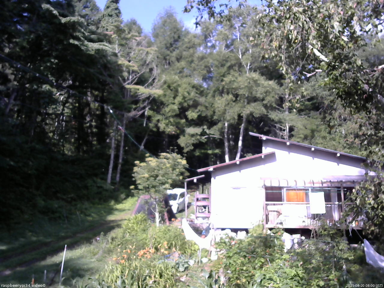 長野県菅平高原 ゆたか山荘 西側(坂上) 2025/08/20 08:00